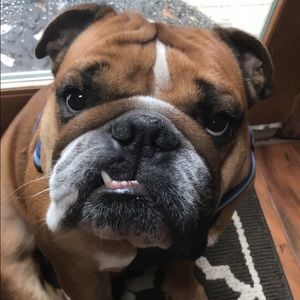 Meet your Posher, Kelly